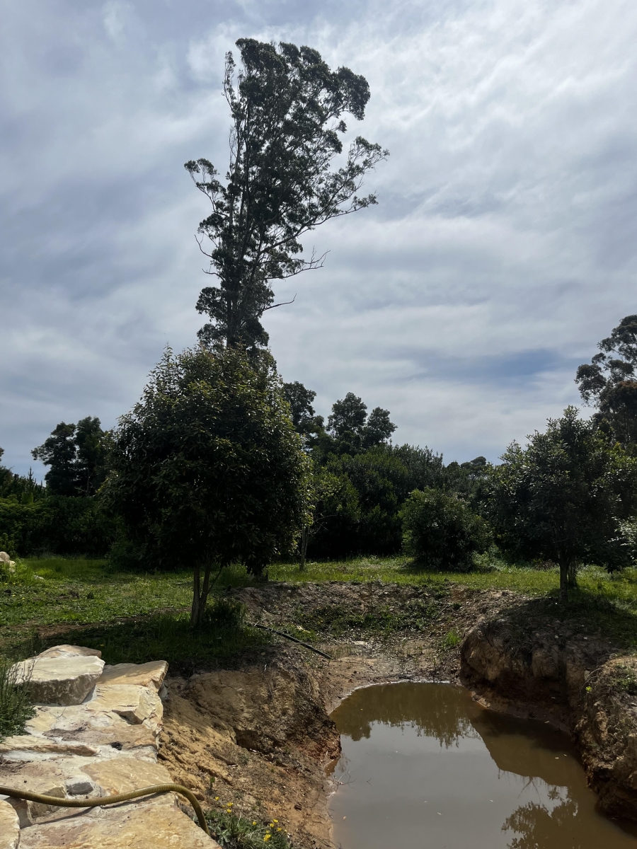 To Let 2 Bedroom Property for Rent in Plettenberg Bay Rural Western Cape